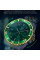 Часы наручные Olevs 9809 Green Accents