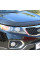 Дефлектор капота 2009-2012 (EuroCap) для Kia Sorento II XM