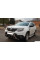 Кенгурятник с надписью WT004 (нерж.) для Renault Duster 2018-2024 гг