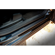 Накладки на пороги DDU (4 шт, пластик) для Volkswagen Passat B7 2012-2015 гг