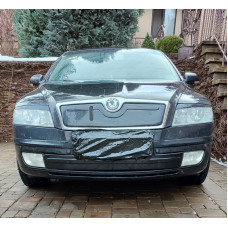 Зимняя накладка на решетку (нижняя) Глянцевая для Skoda Octavia II A5 2006-2010 гг