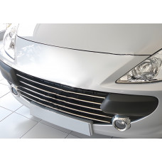 Накладки на решітку (2005-2008, 5 шт, нерж) для Peugeot 307 рр