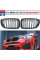 Ноздри M-Look (Черный Глянец) для BMW X4 F-26 2014-2018 гг