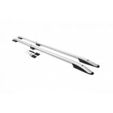 Рейлинги Skyport (2 шт, серый мат) Короткая База для Ford Custom 2013-2022 гг