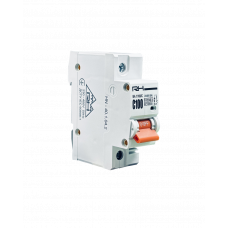 Автоматический выключатель Right Hausen 1P C 100A HN-401042 NEW