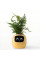 Інтерактивний розумний горщик для рослин Ivy Smart Planter Tuya AI, Yellow