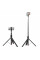 Штатив ACEFAST E31 selfie stick with automatic tripod Black