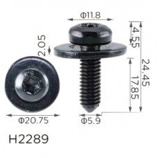 Гвинт H2289 з шайбою VW, AUDI, SKODA, SEAT M6 (N90683309, 19300) ( уп. 100 шт.)