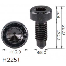 Гвинт H2251 VOLKSWAGEN,Seat,VAG M8 (N10569501,19224) ( уп. 100 шт.)