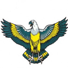 Наліпка "Орел" 13*30 см Жовто-зелена (1шт) велика